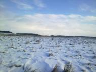 Нові Серби - Останні фото