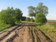 Товстоліс з panoramio.com