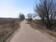 Товстоліс з panoramio.com