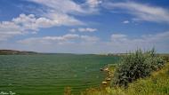 Алтестове з panoramio.com
