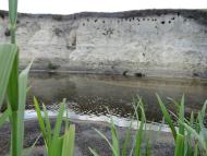 Журавичі з panoramio.com