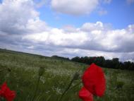 Будки з panoramio.com