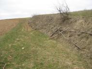 Буданів з panoramio.com