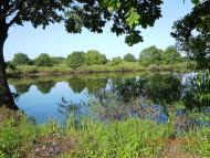 Очкине з panoramio.com