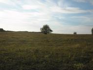 Михайло-Коцюбинське - Останні фото