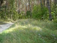 Климентове з panoramio.com