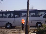 Волошине з panoramio.com