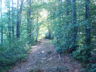 Красна з panoramio.com