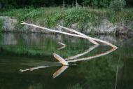 Голубів з panoramio.com