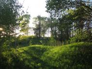 Товстоліс з panoramio.com