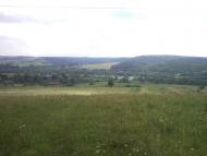 Великі Глібовичі - Останні фото