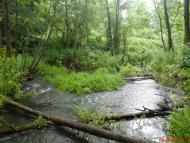 Курдюмівка з panoramio.com