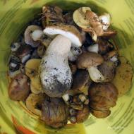 Радянське - Останні фото