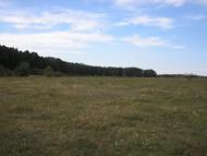 Михайло-Коцюбинське з panoramio.com