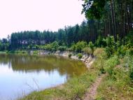 Гуща з panoramio.com