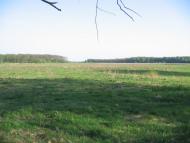 Довге з panoramio.com