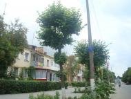 Чемерівці з panoramio.com