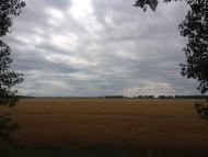 Королівка з panoramio.com