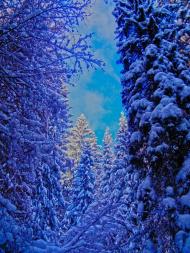 Великий Рожин з panoramio.com