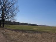 Малинівка з panoramio.com