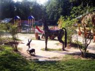 Лісне з panoramio.com