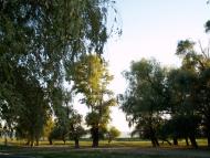 Новосільське з panoramio.com