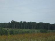 Барилівка - Останні фото