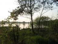 Забір'я з panoramio.com