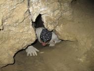 Залісся з panoramio.com