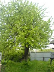 Єрківці - Останні фото