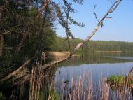 Забужжя з panoramio.com