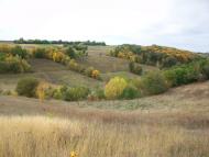 Кірове з panoramio.com