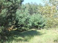 Сахутівка з panoramio.com