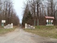 Сорокодуби з panoramio.com