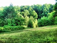 Пеньківка з panoramio.com