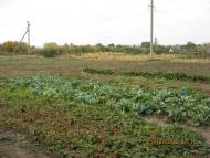 Новоайдар з panoramio.com