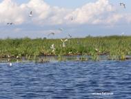 Тур з panoramio.com