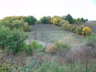 Кірове з panoramio.com