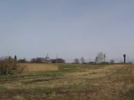 Петрушин з panoramio.com