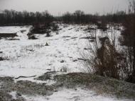 Лозова з panoramio.com