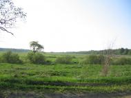 Довге з panoramio.com