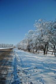 Старий Мерчик з panoramio.com
