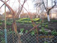 Григоровичі з panoramio.com