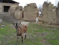 Калаглія з panoramio.com