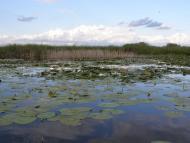 Тур з panoramio.com