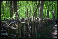 Колоденка з panoramio.com