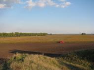 Дівички з panoramio.com