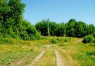 Козацьке з panoramio.com