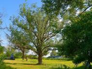 Комсомолець з panoramio.com