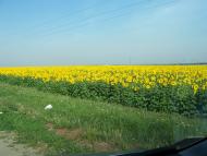 Старий Мерчик з panoramio.com